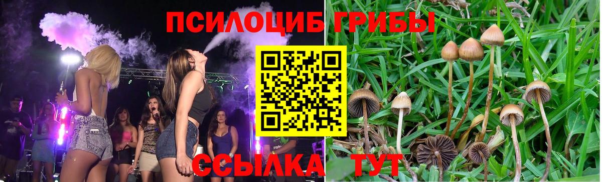 Галлюциногенные грибы GOLDEN TEACHER Серпухов